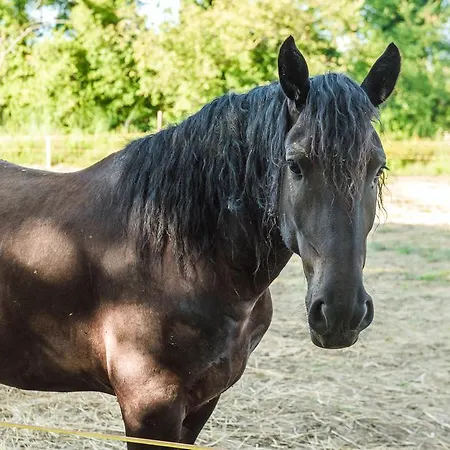 Chigio Country House Village Bauernhof La Torraccia